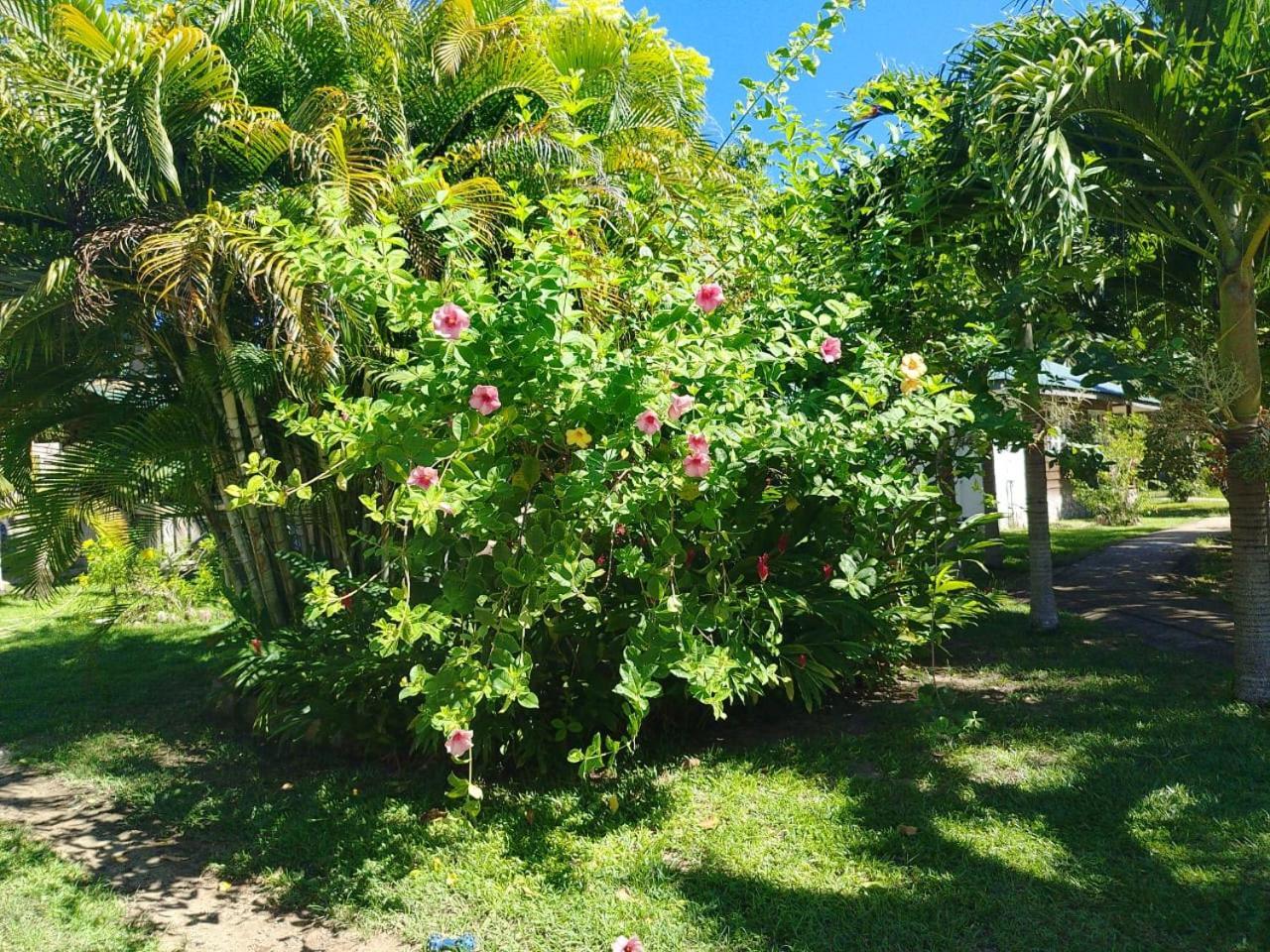 Chez Michellin Pensions Residence La Digue Exterior photo
